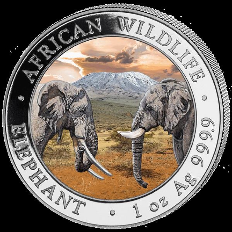 Silver African Wildlife Elephant Sh100 Coin GEM BU SKU55249 2019 Somalia 1 oz 