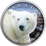 1 Oz Silber Maple Leaf Farbe 2021  Canadas Wildlife (10) - Eisbär  Kanada