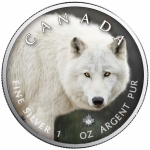 1 Oz Silber Maple Leaf Farbe 2021  Canadas Wildlife (6) - Polarwolf  Kanada