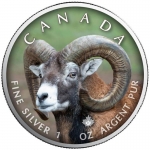 1 oz Silver Canadian Maple Leaf 2021  Canadas Wildlife (7) - Bighorn Sheep Canada