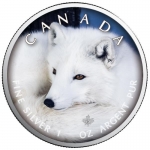 1 oz Silver Canadian Maple Leaf 2021  Canadas Wildlife (2) - Polar Fox Canada