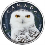 1 Oz Silber Maple Leaf Farbe 2021 Kanada Wildlife (4) - Schnee-Eule  Kanada
