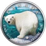 1 Oz Silber Maple Leaf Farbe 2021 On the Trails of Wildlife (10) - Eisbär  Kanada