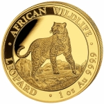 1 Unze Gold Somalia African Wildlife Leopard 2022 BU