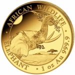 1 Unze Gold Somalia - Elephant - African Wildlife - 2023 BU -1.000 Shillings