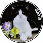 1 Ounce Silver Fiji 2022 - Cats - 2022 Prooflike Color -...