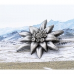 1 Unze Silber Mongolei 2019 - Edelweiss - Mountain Star -...