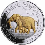 1 oz Somalia 2022 BU - Elephant African Wildlife - Gilded - Single Piece