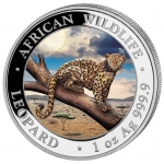 2021 Somalia 1 oz Silver African Wildlife Leopard coloured