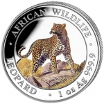 2022 Somalia 1 oz Silver African Wildlife Leopard BU Coloured Premium Bullion Coin