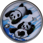 2022 China 30 gram Silver Panda Jubilee Edition - 40 Years Panda Coloured