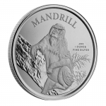1 Unze Silber Kamerun Mandrill 2021 - BU 500 Francs