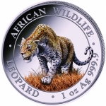 NEU* 1 ounce silver Somalia 2023 BU - LEOPARD COLOURED - African Wildlife Issue 6 - Premium Bullion Coin