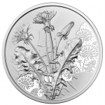 Austria 10 Euro With the Language of the Flowers - The Dandelion - 2022 Special Uncirculated Coin Card
