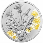 Austria 10 Euro With the Language of the Flowers - The Dandelion - 2022 Proof coloured