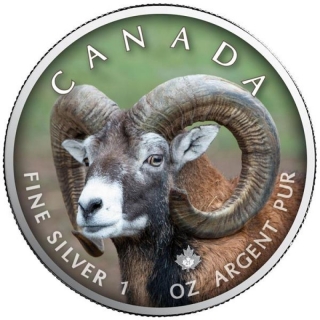 1 oz Silver Canadian Maple Leaf 2021  Canadas Wildlife (7) - Bighorn Sheep Canada