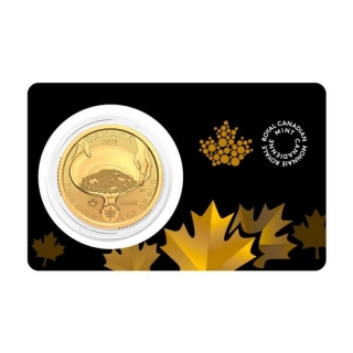 1 oz Gold Klondike Gold Rush - Panning for Gold in Coincard 2021  .99999