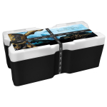 AURINUM SOMMERKRACHER*  1 oz Niue 2021 - Disney BLACK PEARL Fluch der Karibik™ (1.) - silber 2 $ BU