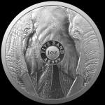 1 oz Südafrika 2021 Big Five Serie II Elefant Silber BU Coin card