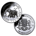 1 oz Somalia Elefant 2022 BU - 100 Shillings - Serie...