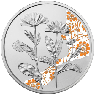 Österreich 10 Euro - Die Ringelblume - Calendula -Mit der Sprache der Blumen - 2022 Proof farbig