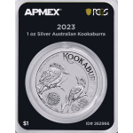 NEU* 1 oz Australien 2023 Kookaburra - PCGS First Strike Coin Card - 1 AUD