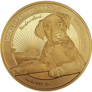 1 Unze Gold Kamerun 2023 BU - LABRADOR - World Famous Dogs - Ausgabe 2