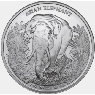 1 Unze Silber Kambodscha 2023 BU - ELEFANT BIG FIVE ASIENS- 3,000 Riels - Startausgabe