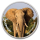 1 Unze Silber Round San Diego Zoo Elefant farbig in TEP Coincard  999,99