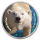 1 Unze Silber Round San Diego Zoo Polarbär  farbig in TEP Coincard  999,99