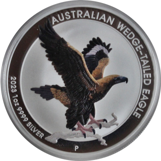 1 oz Australian 2023 COLOR - Wedge Tailed Eagle Keilschwanzadler - 10 Jahres Edition - Ultra High Relief 1 AUD BU - Erste Colorversion des WT Eagle !