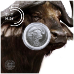 1 Unze Silber Südafrika 2023 BU - BÜFFEL - Big Five Serie II - Coin Card