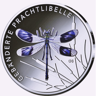 Deutschland 5 Euro 2023 BU - Gebänderte Prachtlibelle  - Wunderwelt der Insekten