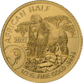 0.5 g Gold Ruanda 2022 BU - BERGGORILLA - African Half Mountain Gorilla - 50 RWF