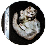 1 oz Cook Islands 2024 Proof - Underlook - Undercat - Katze von Unten betrachtet - 5$