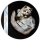 AURINUM*SUMMER*SALE** 1 oz Cook Islands 2024 Proof - Underlook - Undercat - Katze von Unten betrachtet - 5$