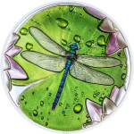 1 Unze Silber Palau 2024 - LIBELLE - DRAGONFLY - Lily Pad...