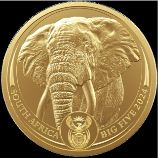 1 Unze Gold Südafrika - Elefant - Big Five Serie - 2024 BU