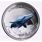 AURINUM-TOP-ANGEBOT** 1 oz St. Vincent & The Grenadines 2023 Proof - BUCKELWAL - Humpback Whale - EC8 serie - 2$