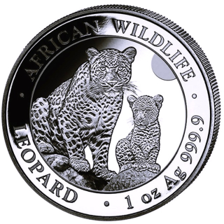 NEU* 1 Unze Silber Somalia 2024 - LEOPARD - African Wildlife Ausgabe 7 - Premium Anlagemünze - BU 100 Shillings - Vorverkauf April 24