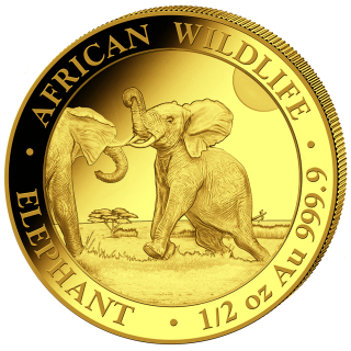 1/2 Unze Gold Somalia - Elefant - African Wildlife - 2024 BU - 500 Shilling