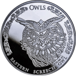 NEU* 1 oz Tschad 2024 BU - Östliche KreischEule - Eastern Screech Owl - 5,000 CFA
