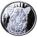 NEU* 1 Unze Silber Ghana 2023 Prooflike - LEOPARD - African Leopard - 5 Cedis