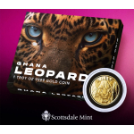 1 Unze Gold Ghana 2023 Proof - LEOPARD - African Leopard...