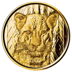 1 Unze Gold Ghana 2023 Proof - LEOPARD - African Leopard...
