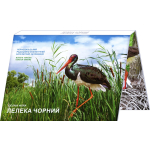 16,5 g Bimetall Ukraine 2024 SCHWARZSTORCH - Biosphärenreservat Tschernobyl Naturschutzgebiet - Coin Card - 5 Griwna