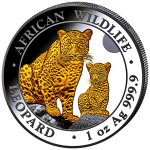 1 Unze Silber Somalia 2024 Gilded - LEOPARD African Wildlife - Gilded Vergoldet BU