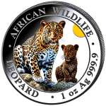 1 oz Somalia 2024 Color - LEOPARD African Wildlife - Silber BU
