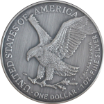 NEU* 1 oz USA 2024 American Eagle - Der EISDRACHE - Jahr des EisDrachen - DRAGON of ICE - Antique Color farbig - Auflage 250*