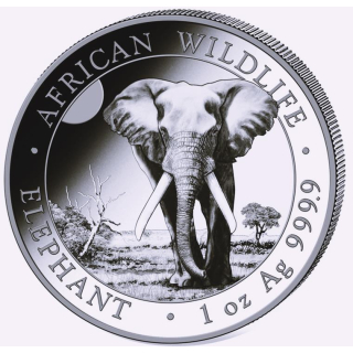 NEU* 1 oz Somalia Elefant 2025 - African Wildlife - Silber ELEFANTENMOTIV 2025